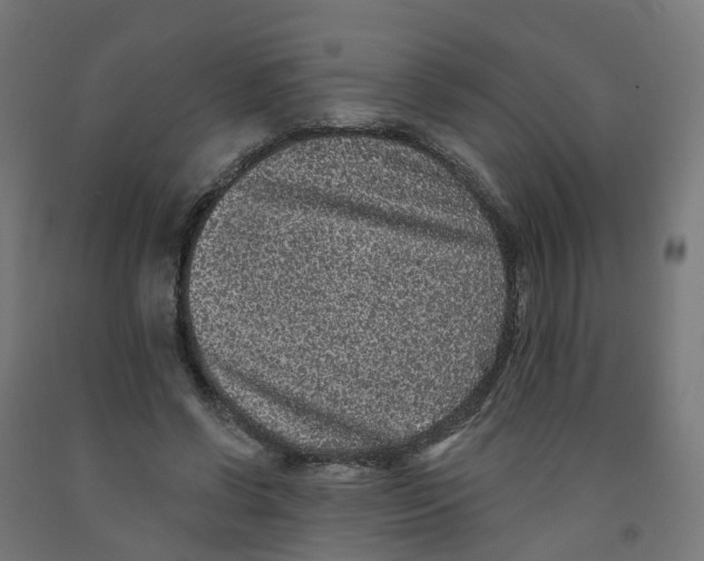 X0000091890542200710031804