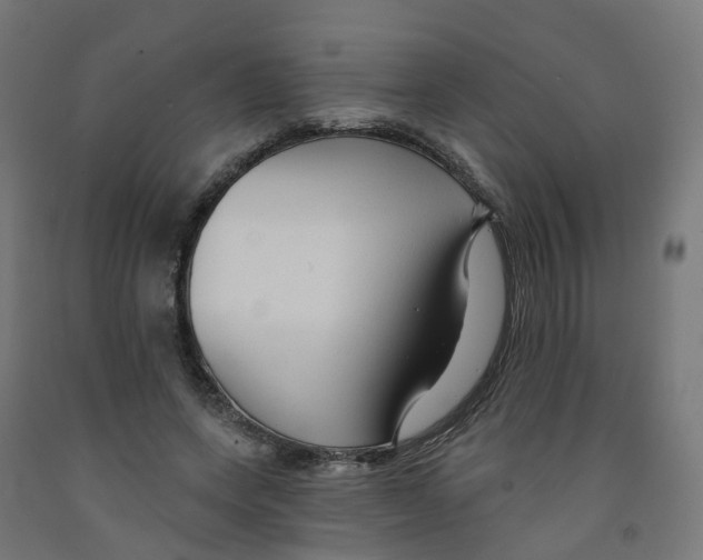 X0000091890543200710031804