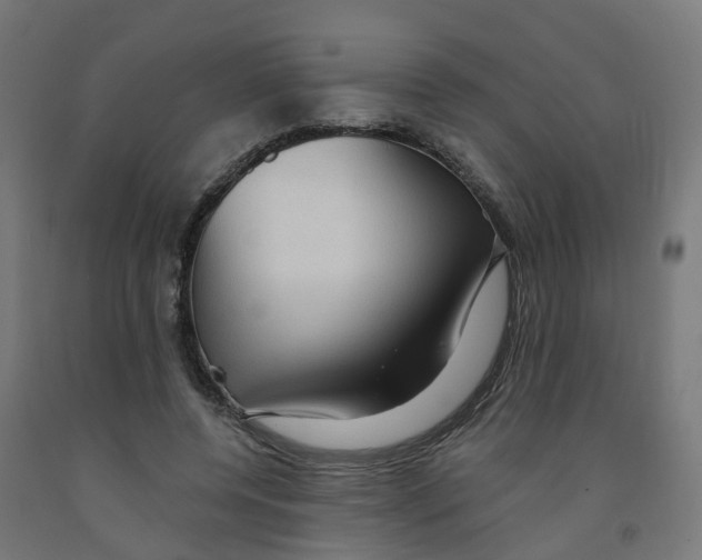 X0000091890544200710031804