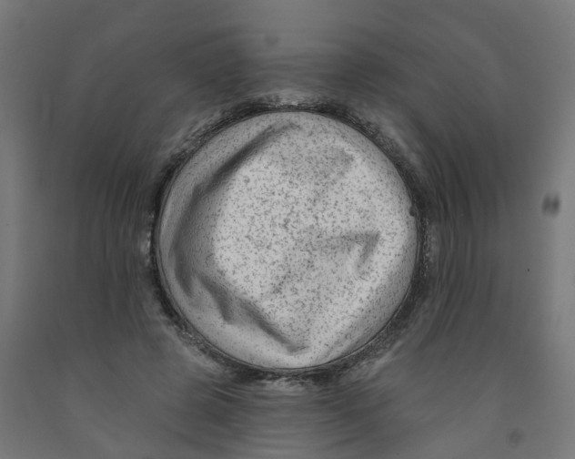 X0000091890545200710031804