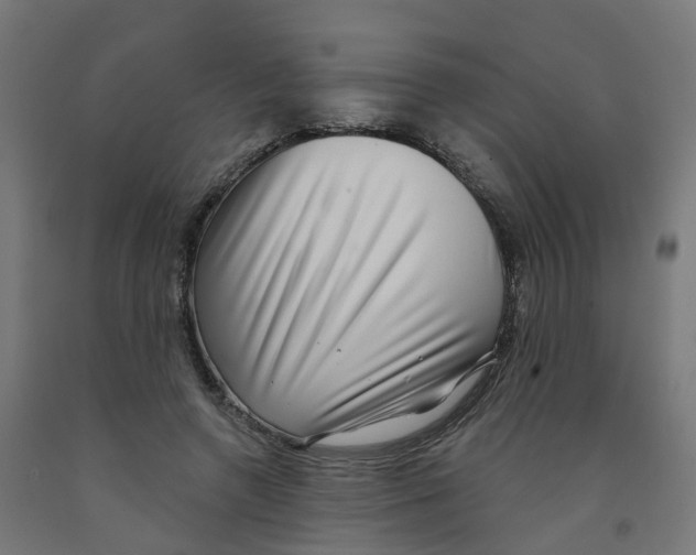 X0000091890546200710031804