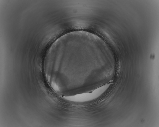 X0000091890547200710031805