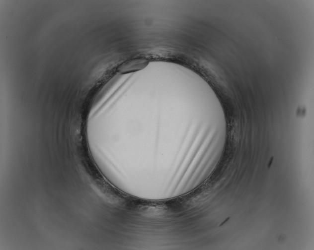 X0000091890548200710031805