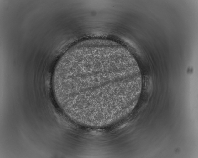 X0000091890550200710031805