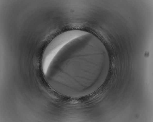 X0000091890551200710031805