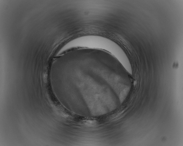 X0000091890552200710031805