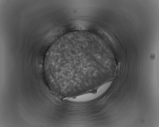 X0000091890553200710031805