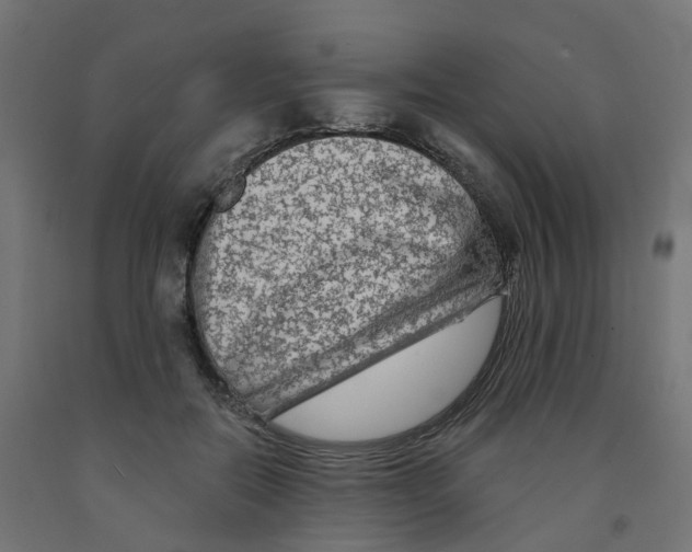 X0000091890554200710031805