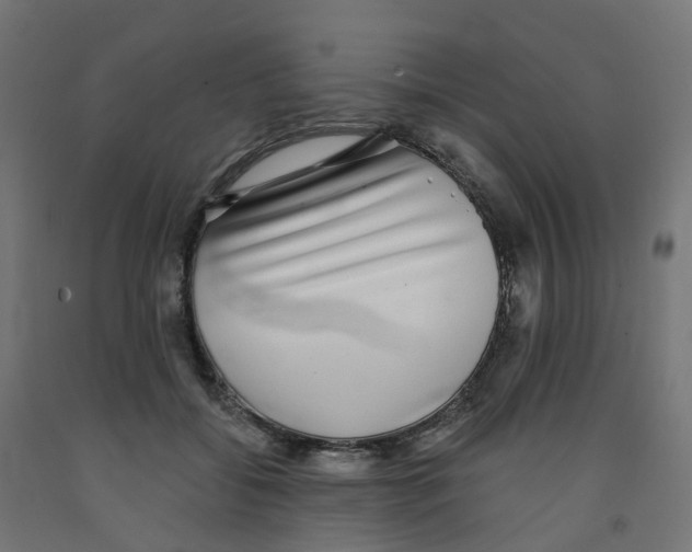 X0000091890556200710031805