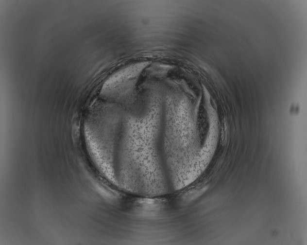 X0000091890558200710031805