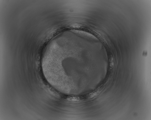 X0000091890559200710031805