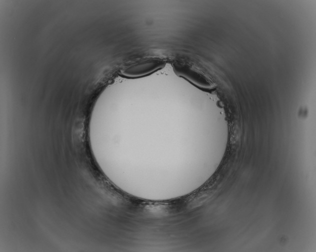 X0000091890560200710031805