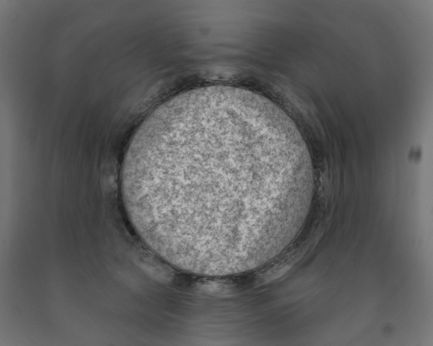 X0000091890561200710031805