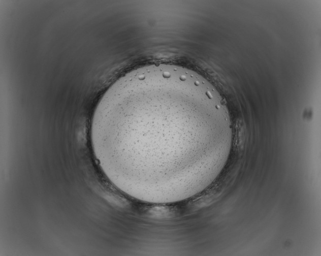 X0000091890562200710031805