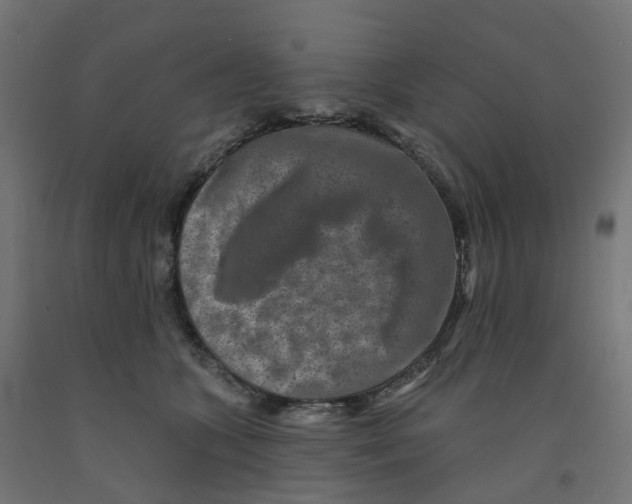 X0000091890563200710031805