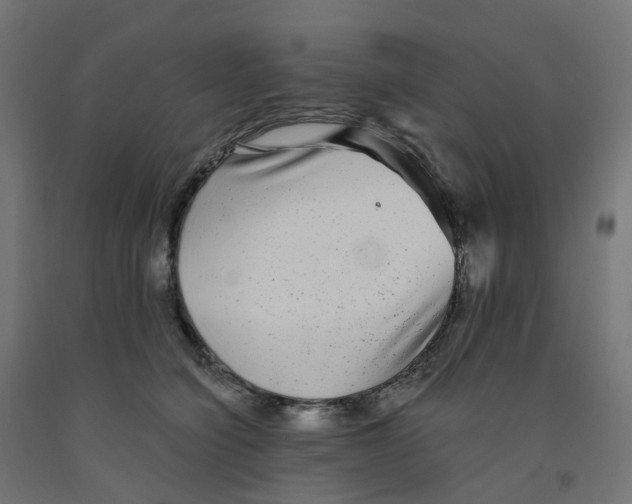 X0000091890564200710031805