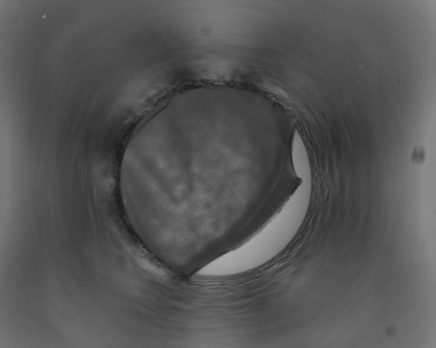 X0000091890566200710031805