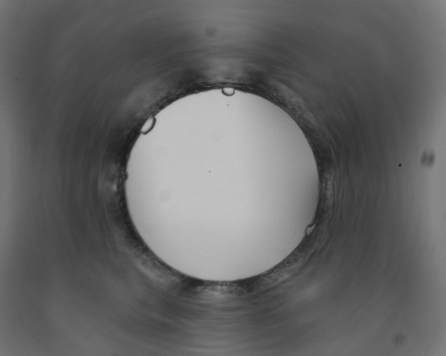 X0000091890567200710031805