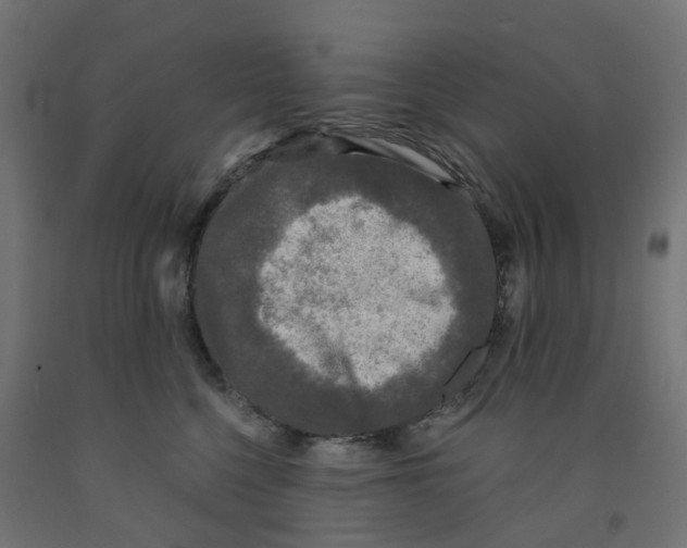 X0000091890568200710031805