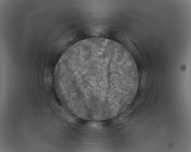 X0000091890569200710031805