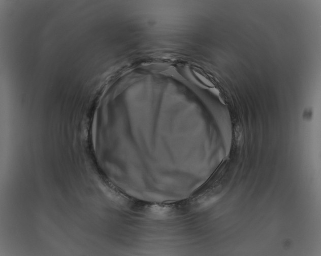 X0000091890570200710031805