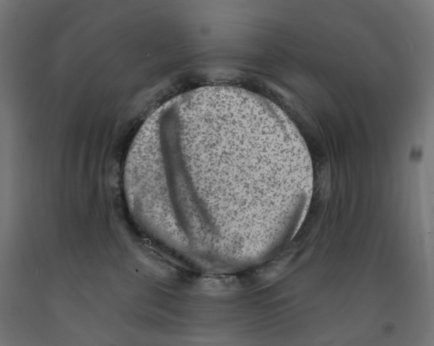 X0000091890571200710031805