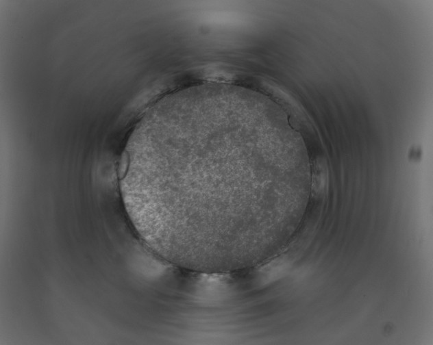 X0000091890573200710031805
