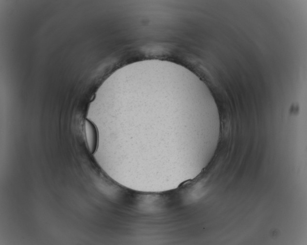 X0000091890575200710031805