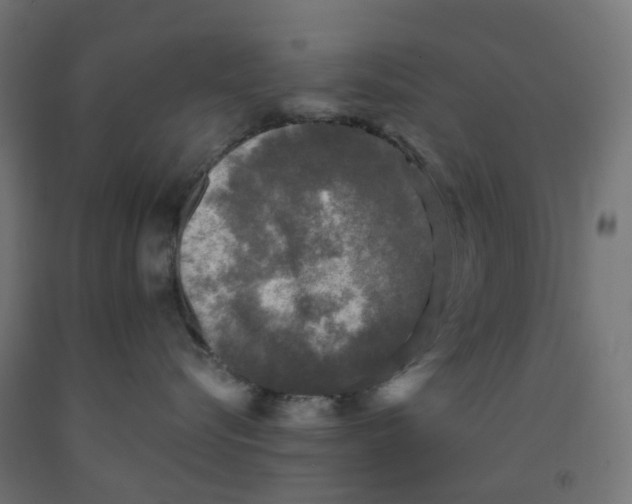 X0000091890576200710031805