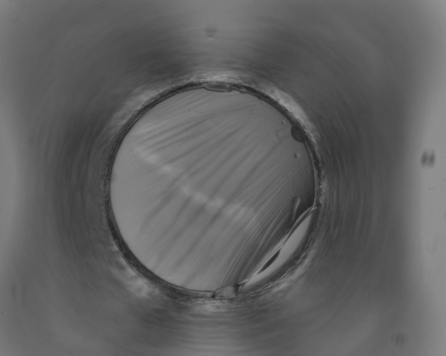 X0000091890577200710031804