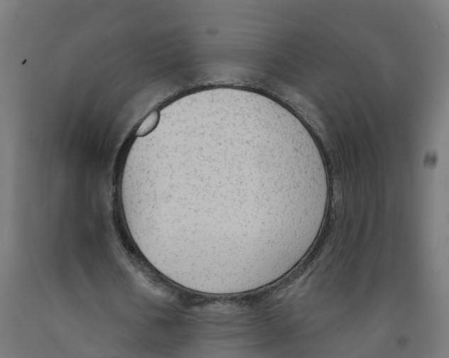 X0000091890578200710031804