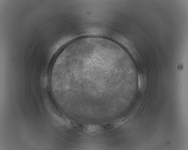 X0000091890579200710031804