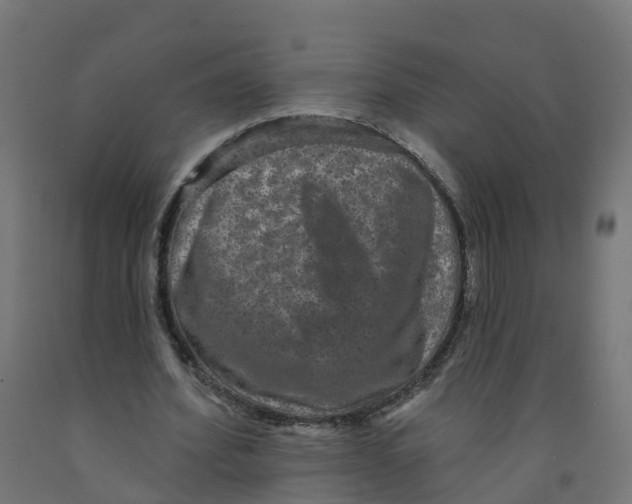 X0000091890580200710031804