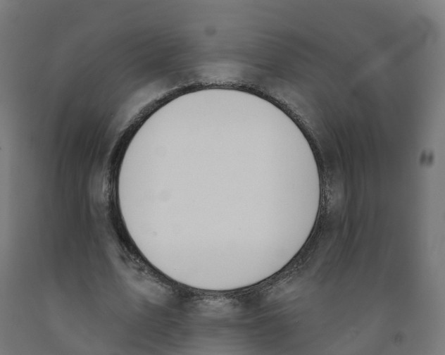 X0000091890583200710031804