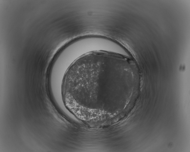 X0000091890584200710031804