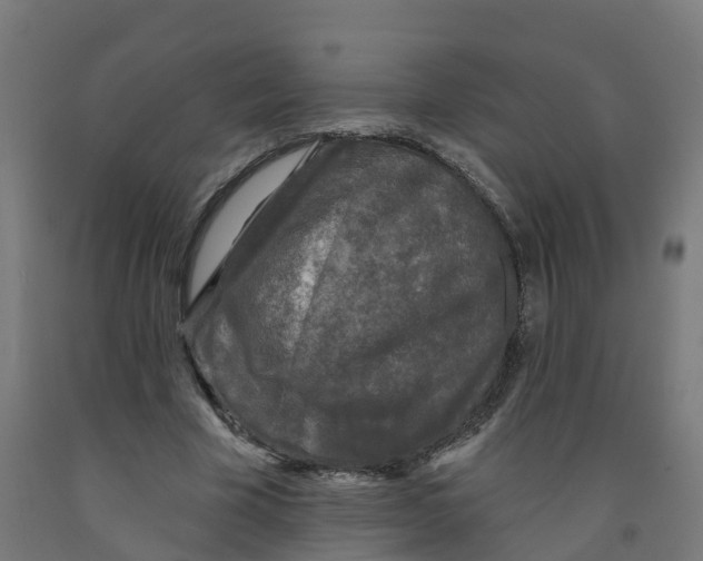 X0000091890585200710031804