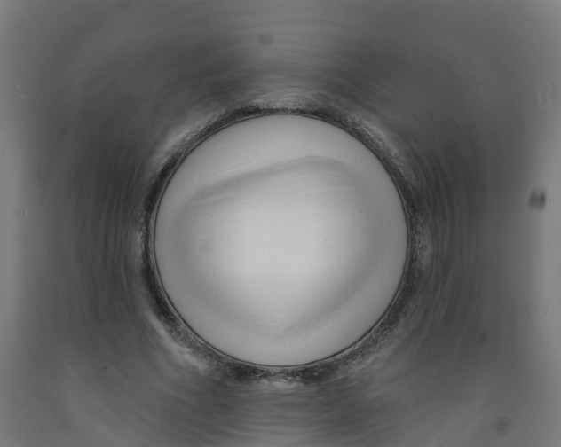 X0000091890586200710031804