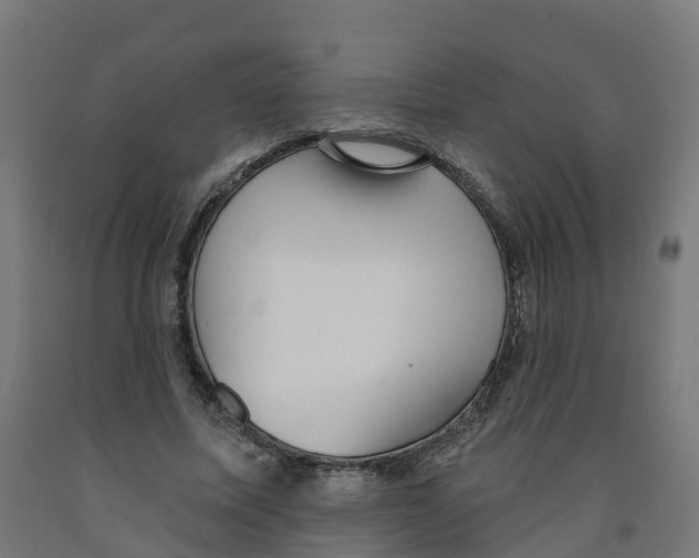 X0000091890587200710031804