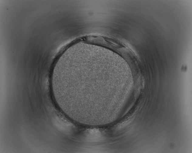 X0000091890588200710031804