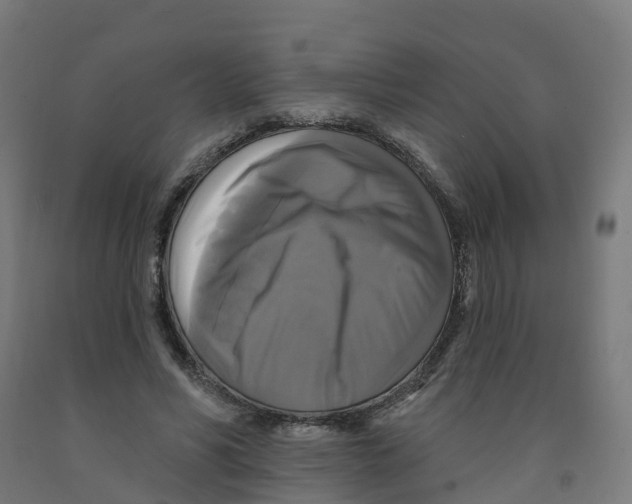 X0000091890590200710031804