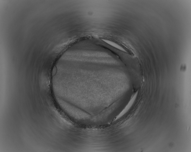 X0000091890593200710031804