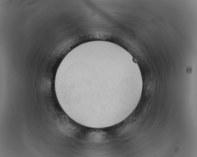 X0000091890595200710031804