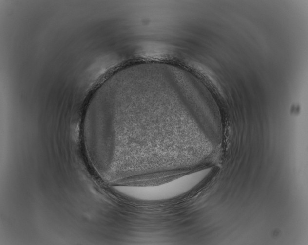 X0000091890596200710031804