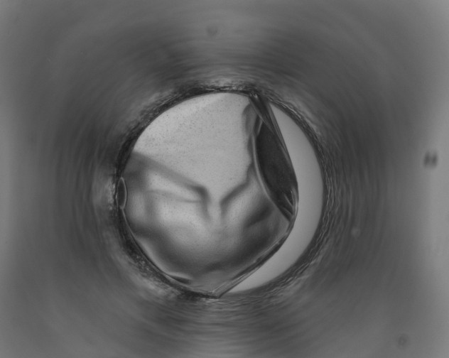 X0000091890597200710031804