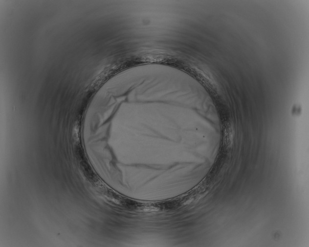 X0000091890598200710031804