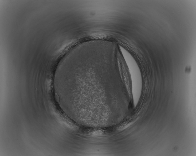 X0000091890600200710031804