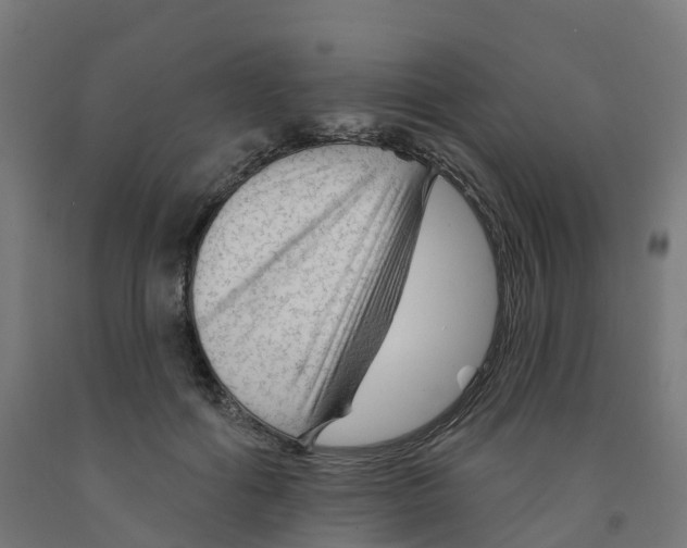 X0000091890602200710031804