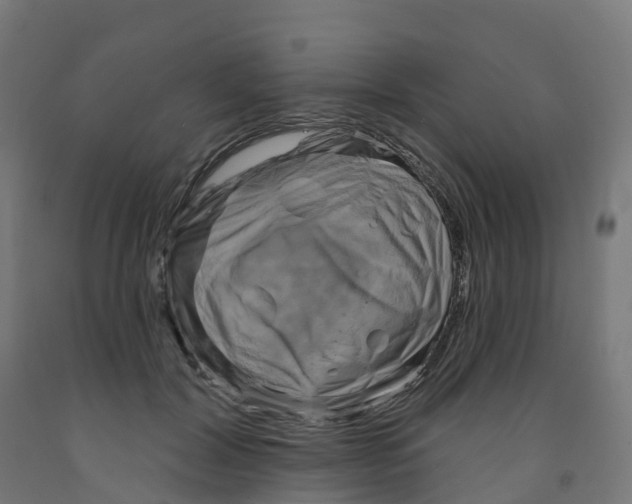 X0000091890604200710031804