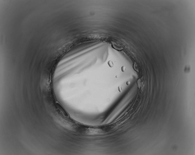 X0000091890605200710031804