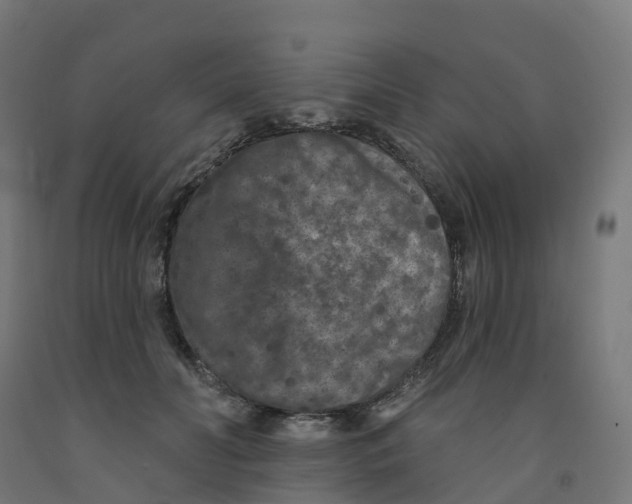 X0000091890606200710031804